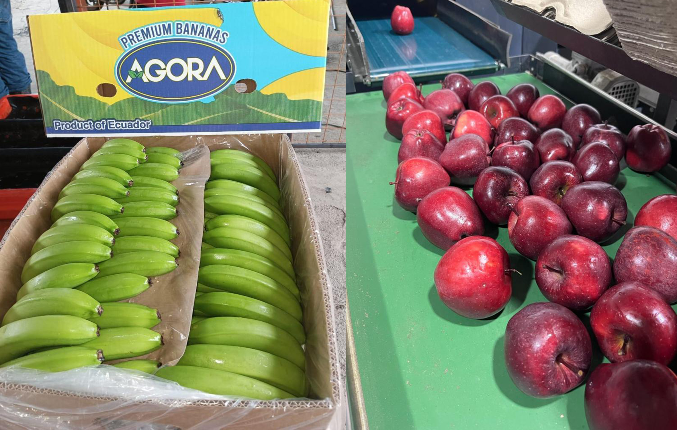 شحنة مواد غذائية