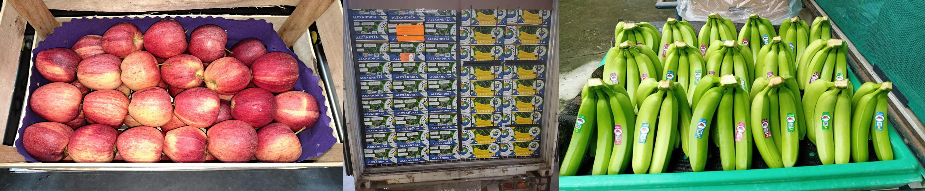 صورة الشركة