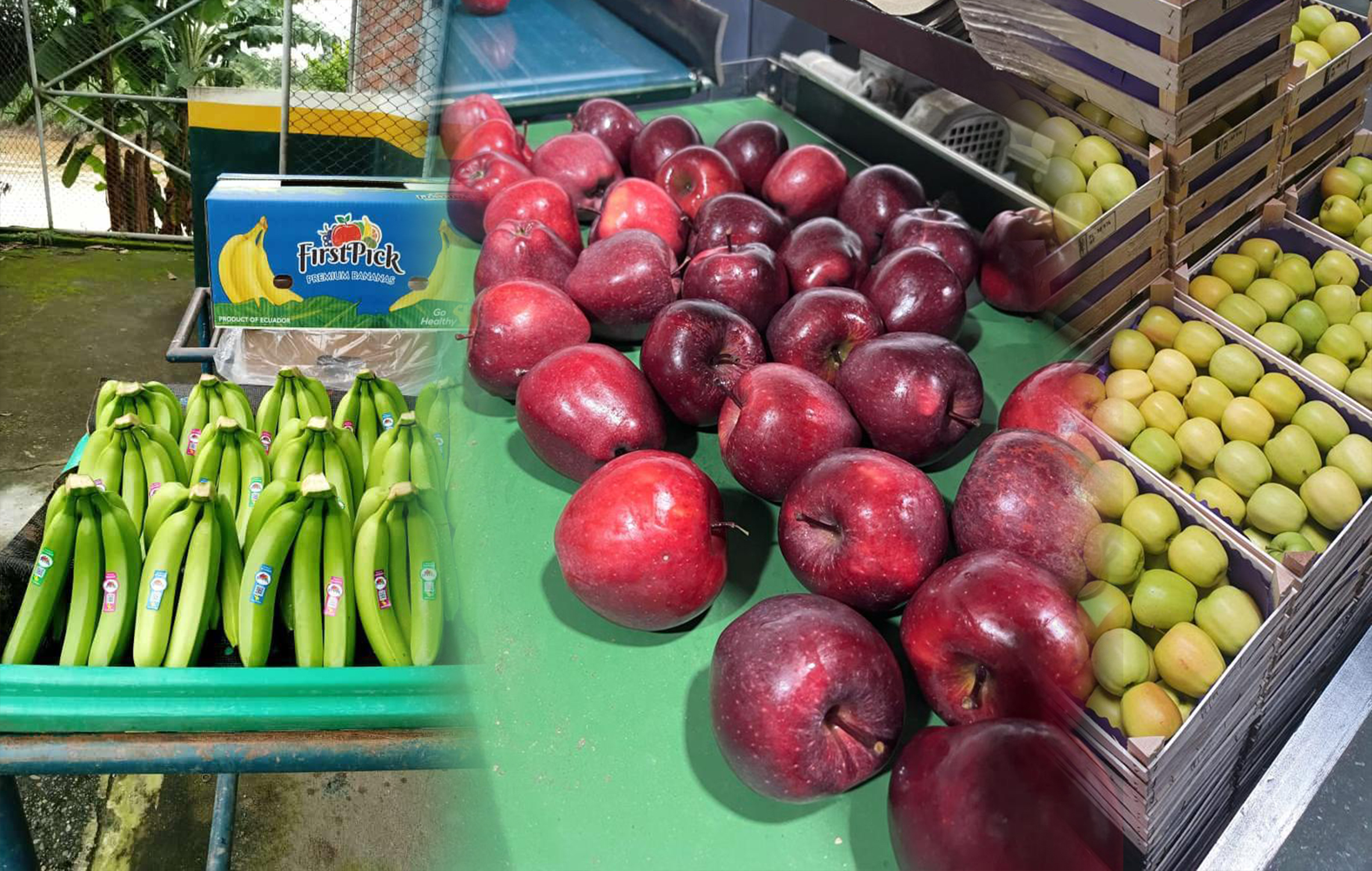 شحن المواشي