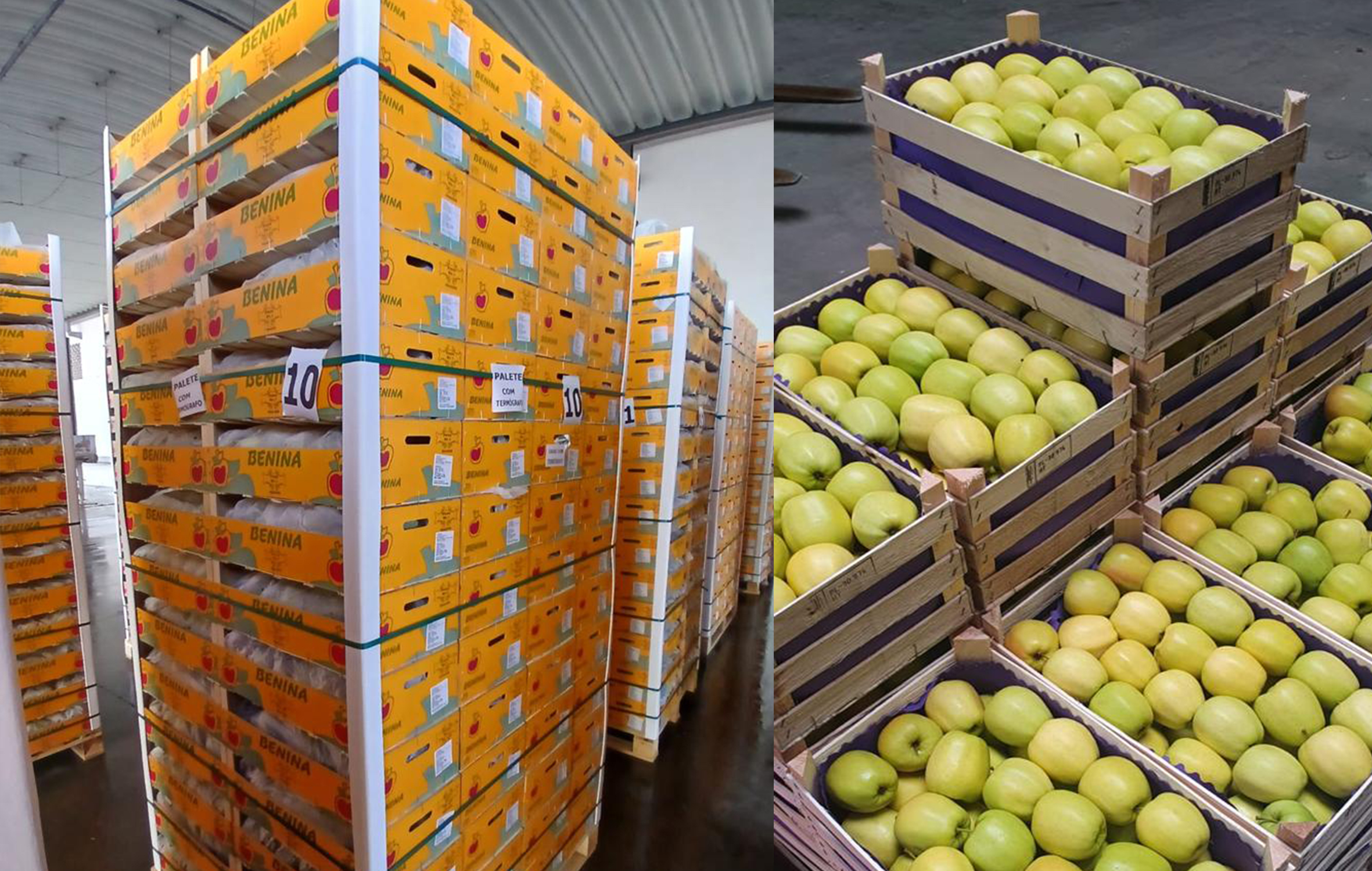 منتجات لحوم ومواشي